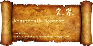 Kosztocsik Nesztor névjegykártya